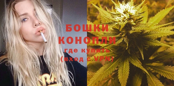 гидра Инта