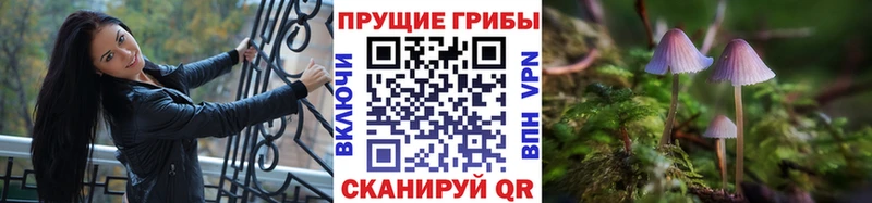 Галлюциногенные грибы GOLDEN TEACHER  Купить  Верхняя Тура 